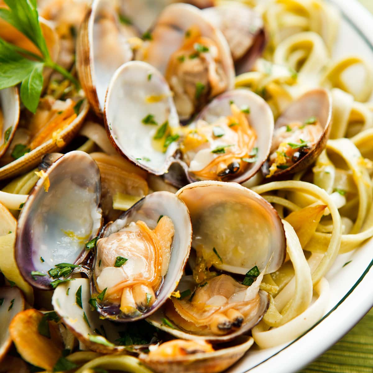 Linguine with clams in a wide shallow bowl with parsley. 