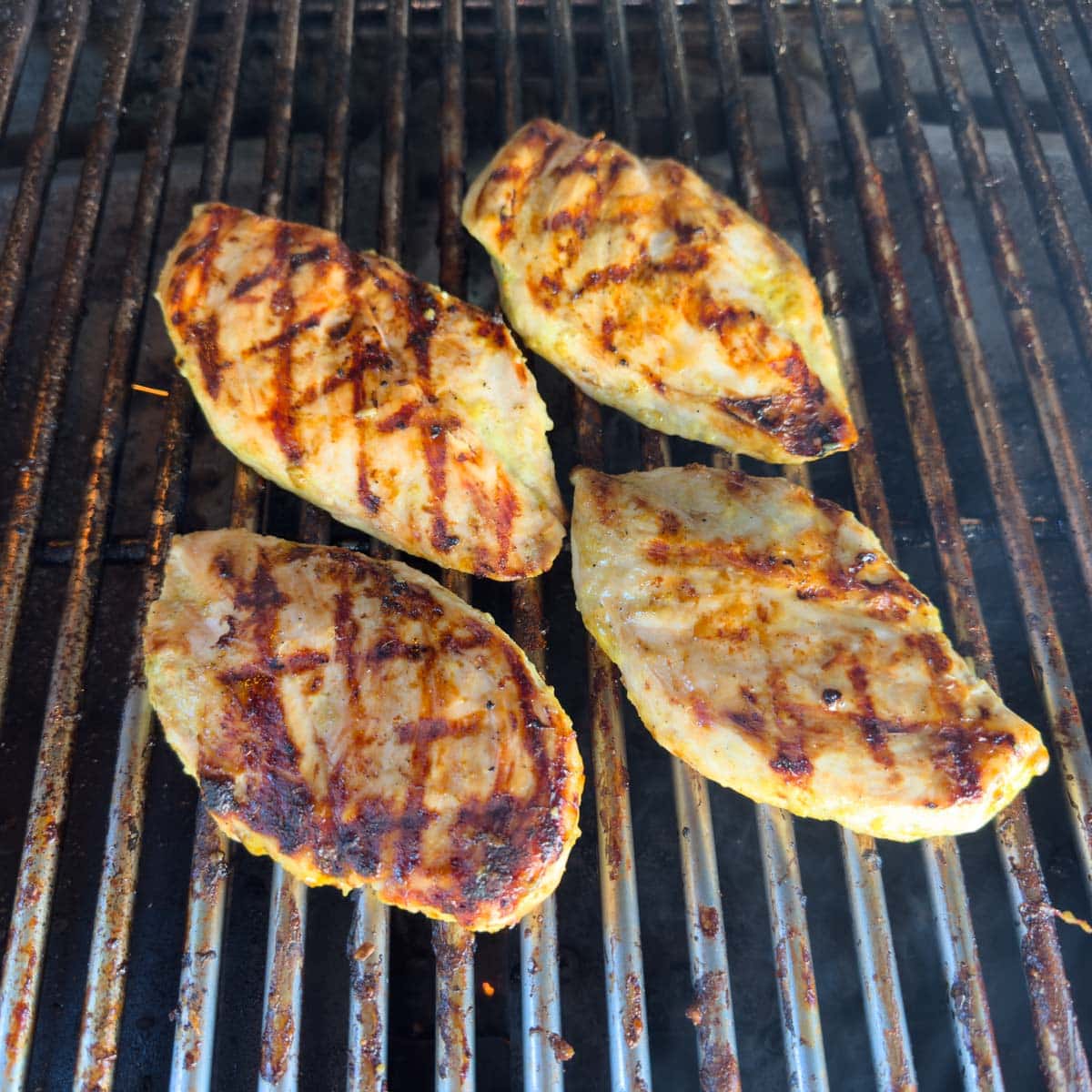 Grilled chicken breasts on the grill, with nice grill marks.