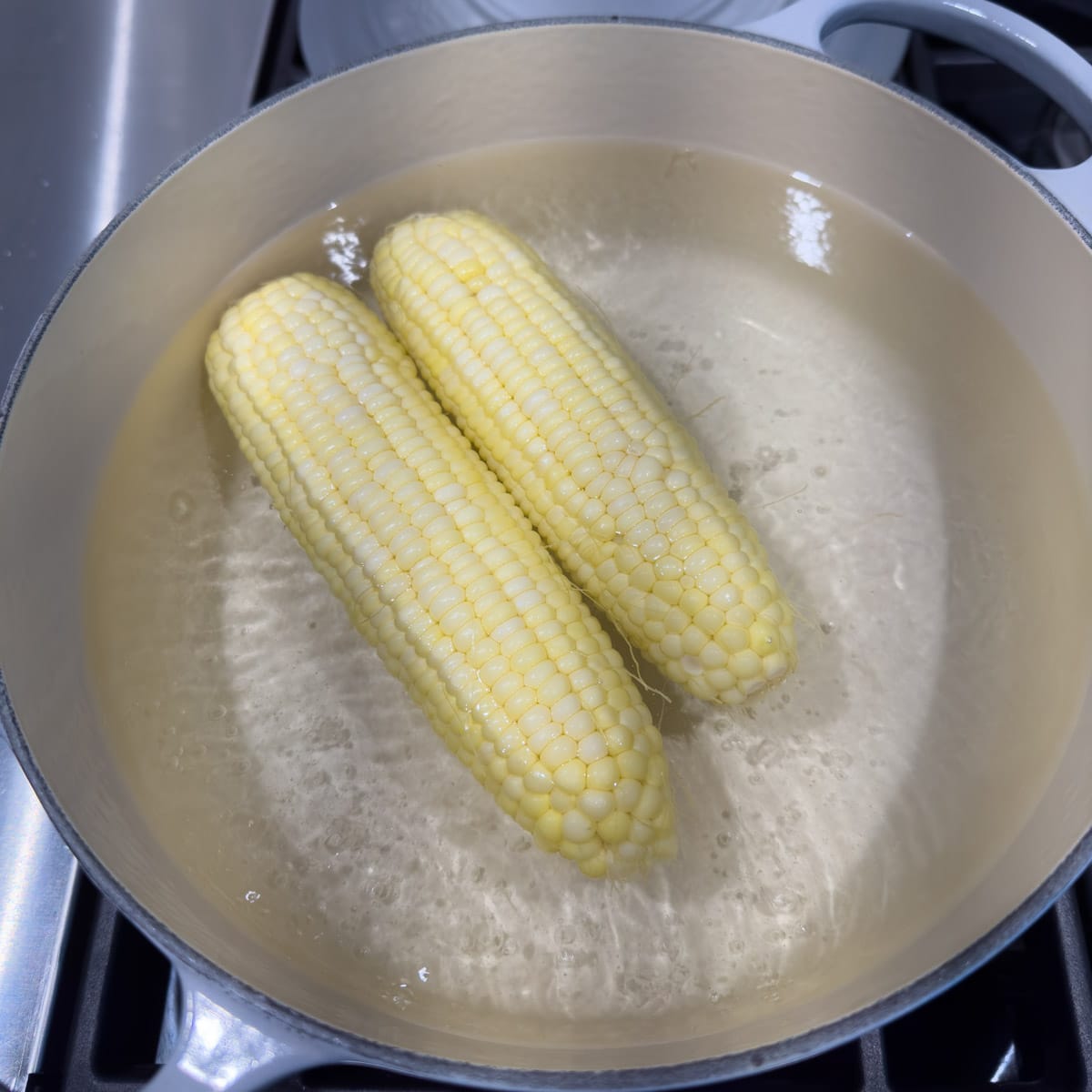 Corn cobs cooking in boiling water on stovetop.