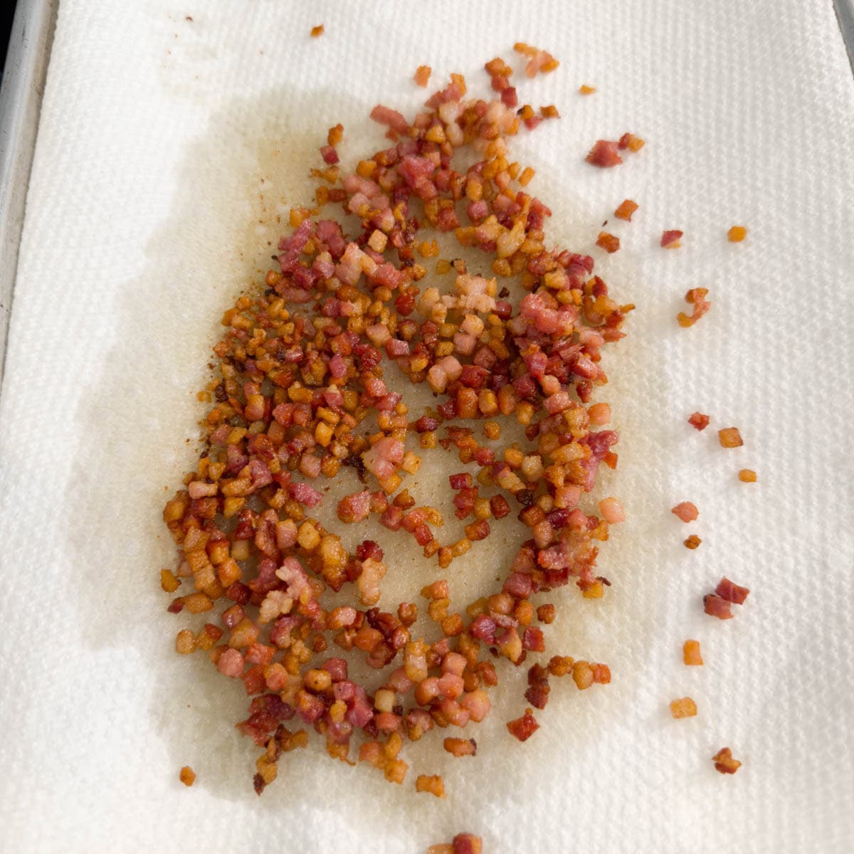Browned pancetta on layers of paper towels to drain fat.