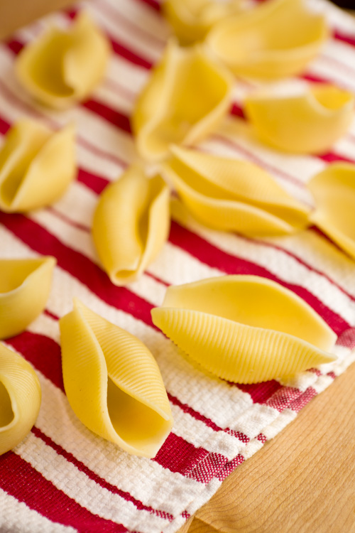 Pasta shells cooling on kitchen towel.