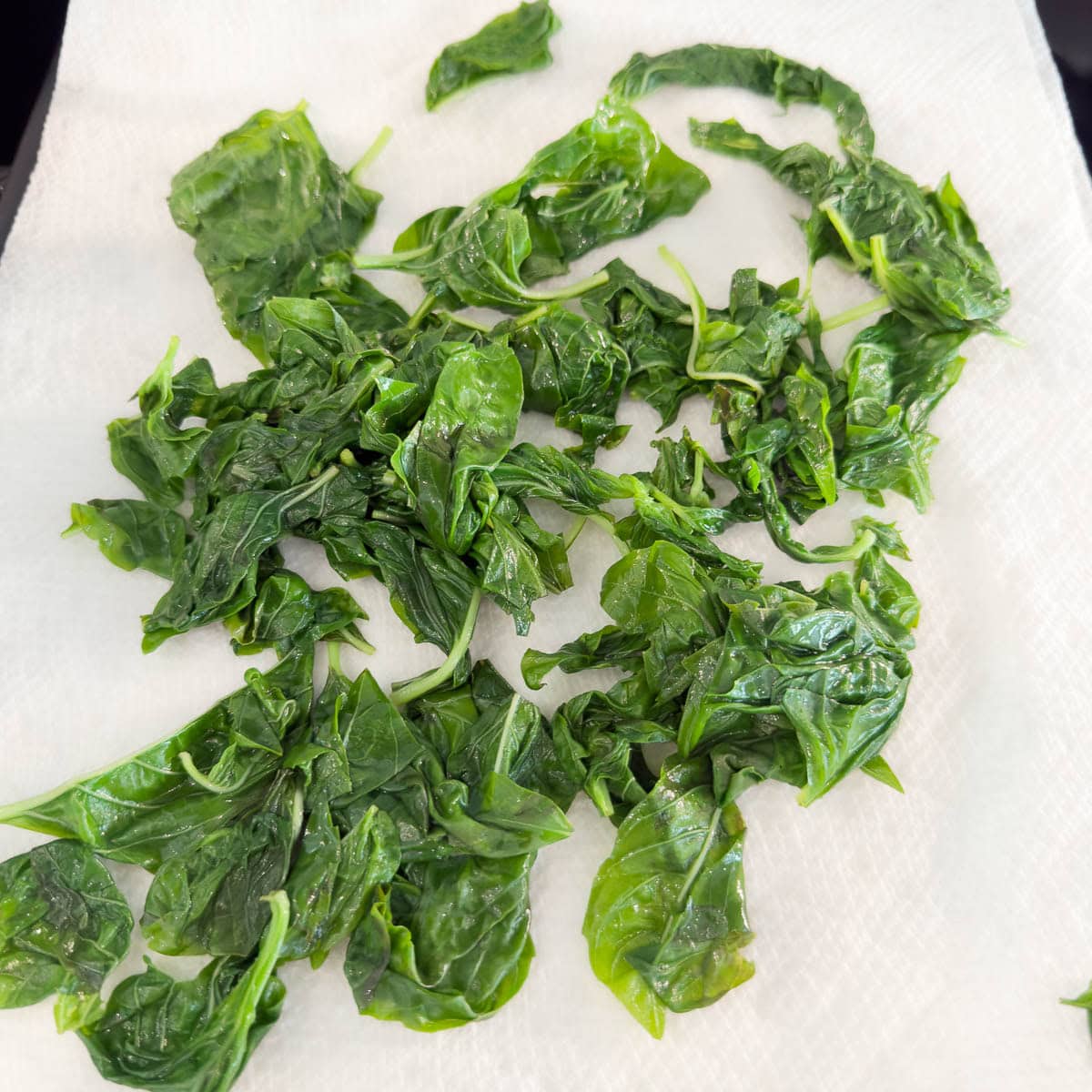 Drying blanched basil leaves on layers of paper towels to dry.