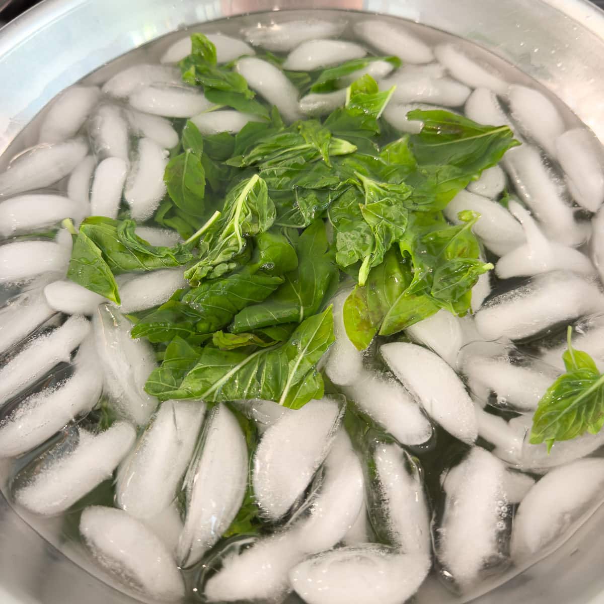 Blanched basil leaves chilling in a bowl of ice water, an ice bath.