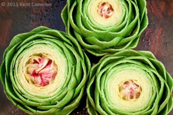 all about Artichokes | AFoodCentricLife.com