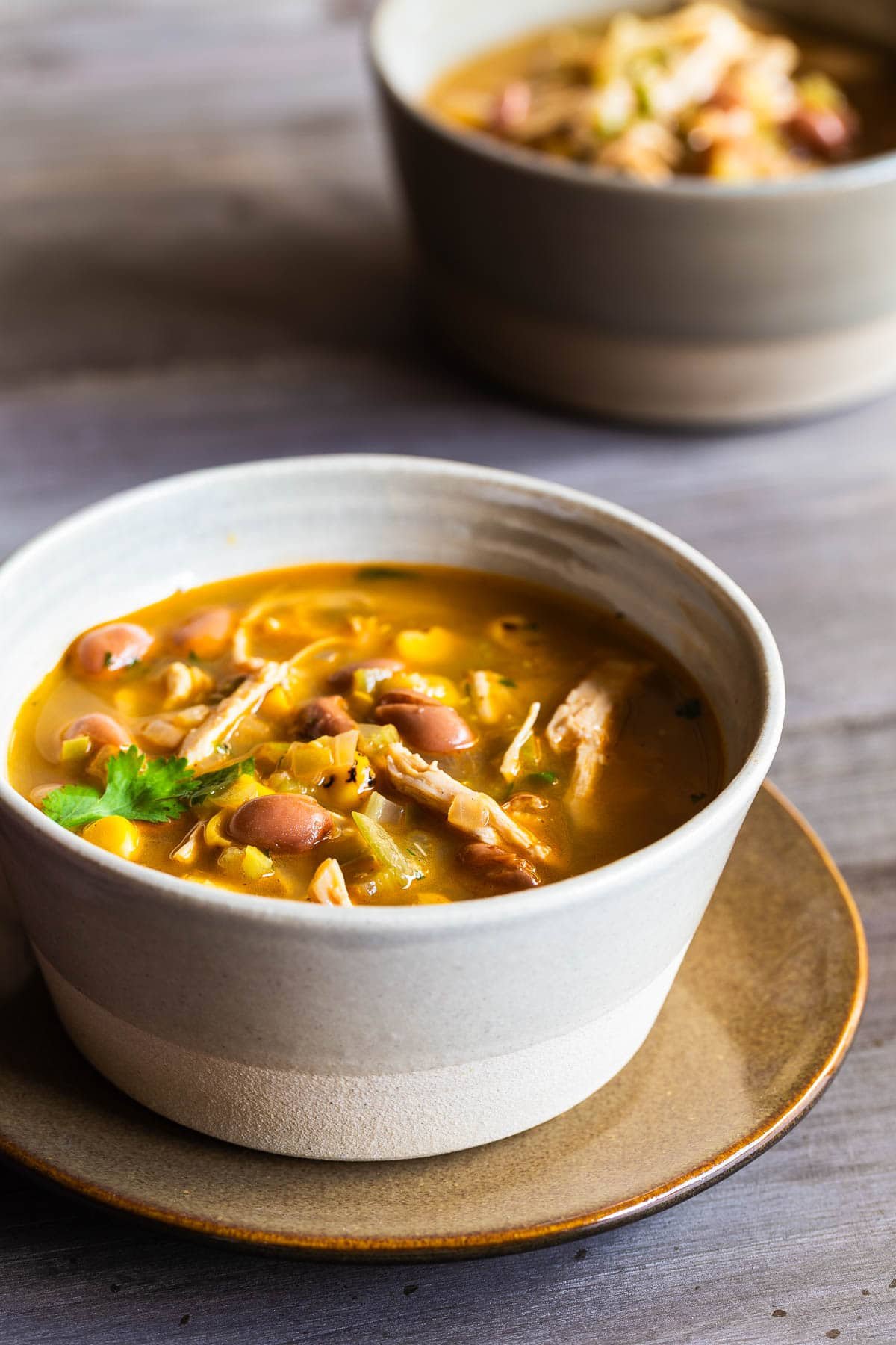 A rustic pottery bowl of chicken tomatillo soup with pinto beans and cilantro.
