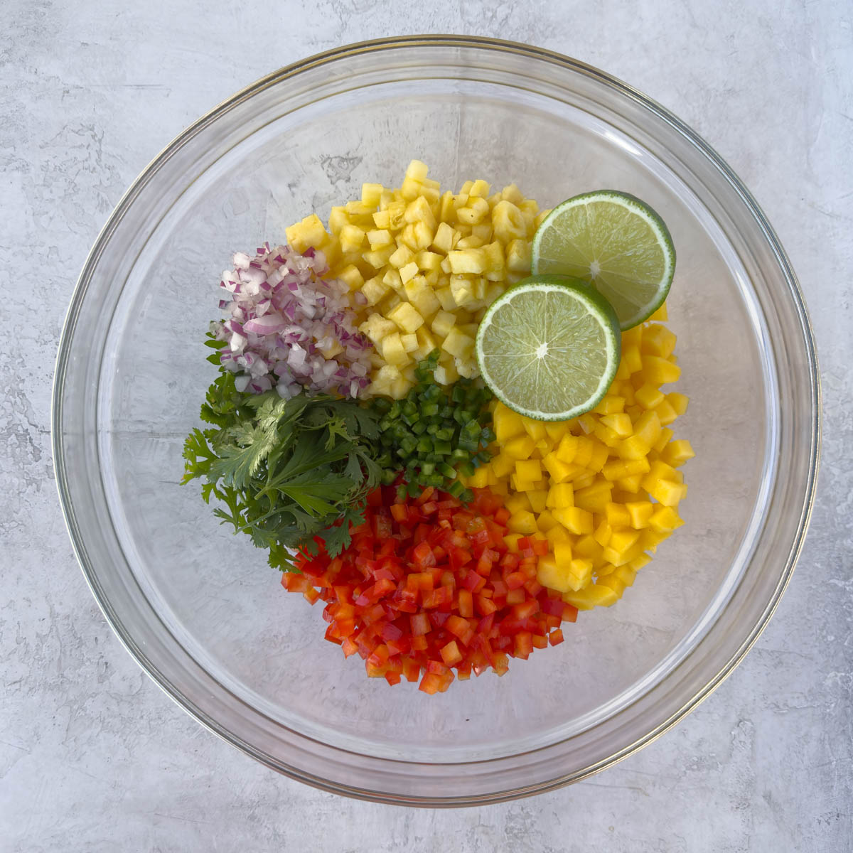 Colorful bowl of pineapple, mango, pepper, herbs, and red onion for salsa. 
