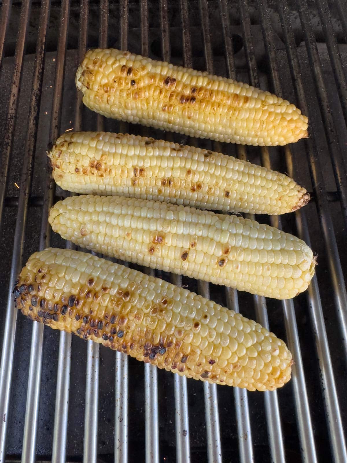 Four golden ears of corn on the cob on the grill. 