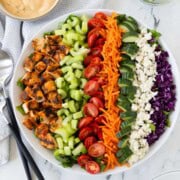 Colorful rows of buffalo chicken salad in a round bowl with creamy dressing on the side.