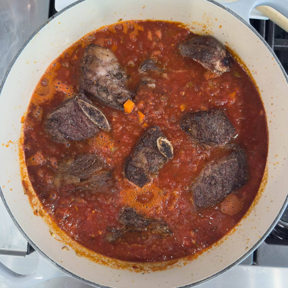 Beef short ribs nestled into braising liquid in a dutch oven for making a ragu.