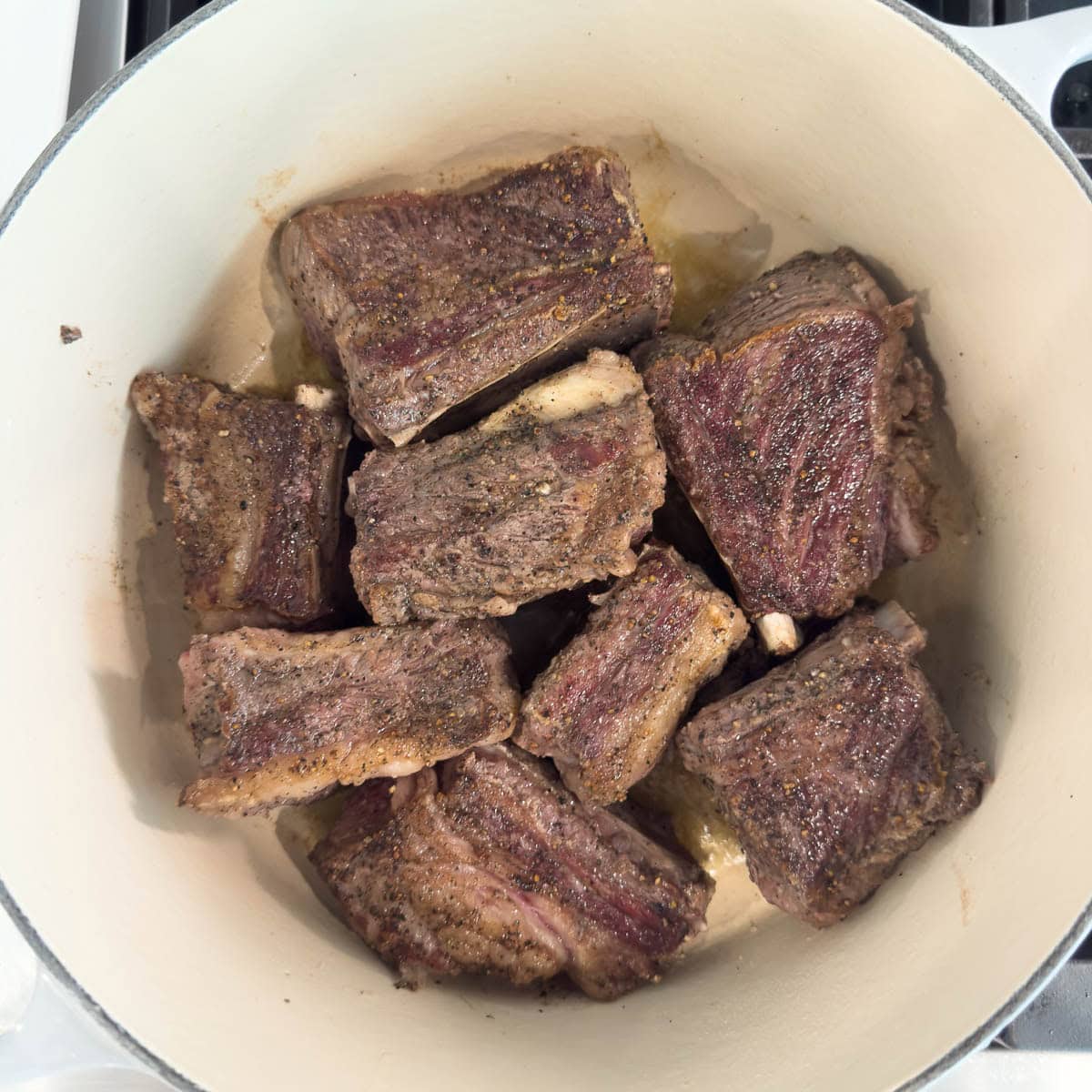 Browned beef short ribs in a dutch oven.
