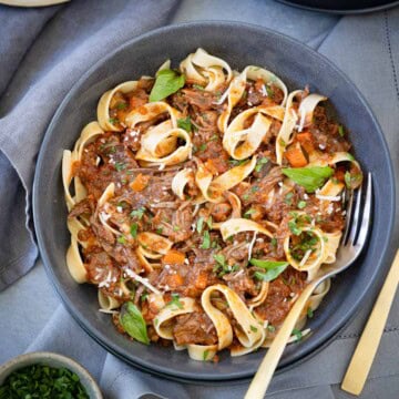 A gray bowl of twirled pasta topped with a beef short rib ragu, parsley, and a little parmesan.