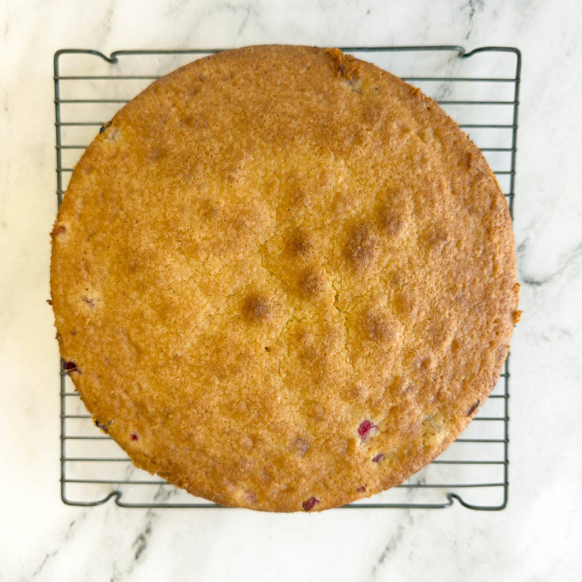 A golden baked cranberry nantucket pie on a cooling rack on the counter.