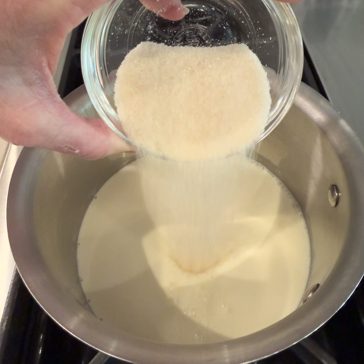 Pouring sugar into a small pot of heavy cream and milk for panna cotta.
