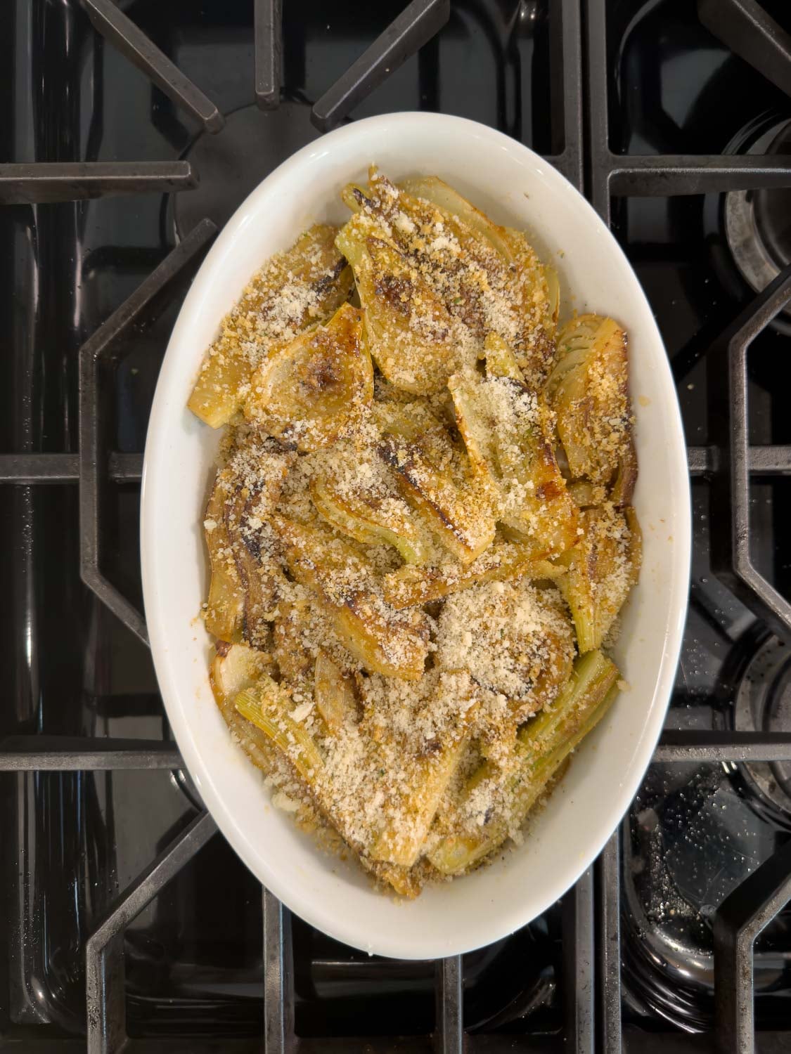 A baking dish of braised fennel with parmesan and breadcrumb topping ready for a quick broil.