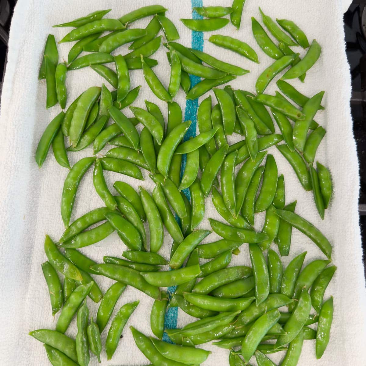 Drying blanched sugar snap peas on a kitchen towl.