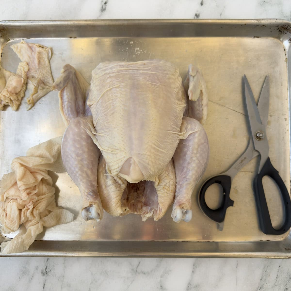 Whole chicken on a half sheet tray with poultry shears and paper towels.