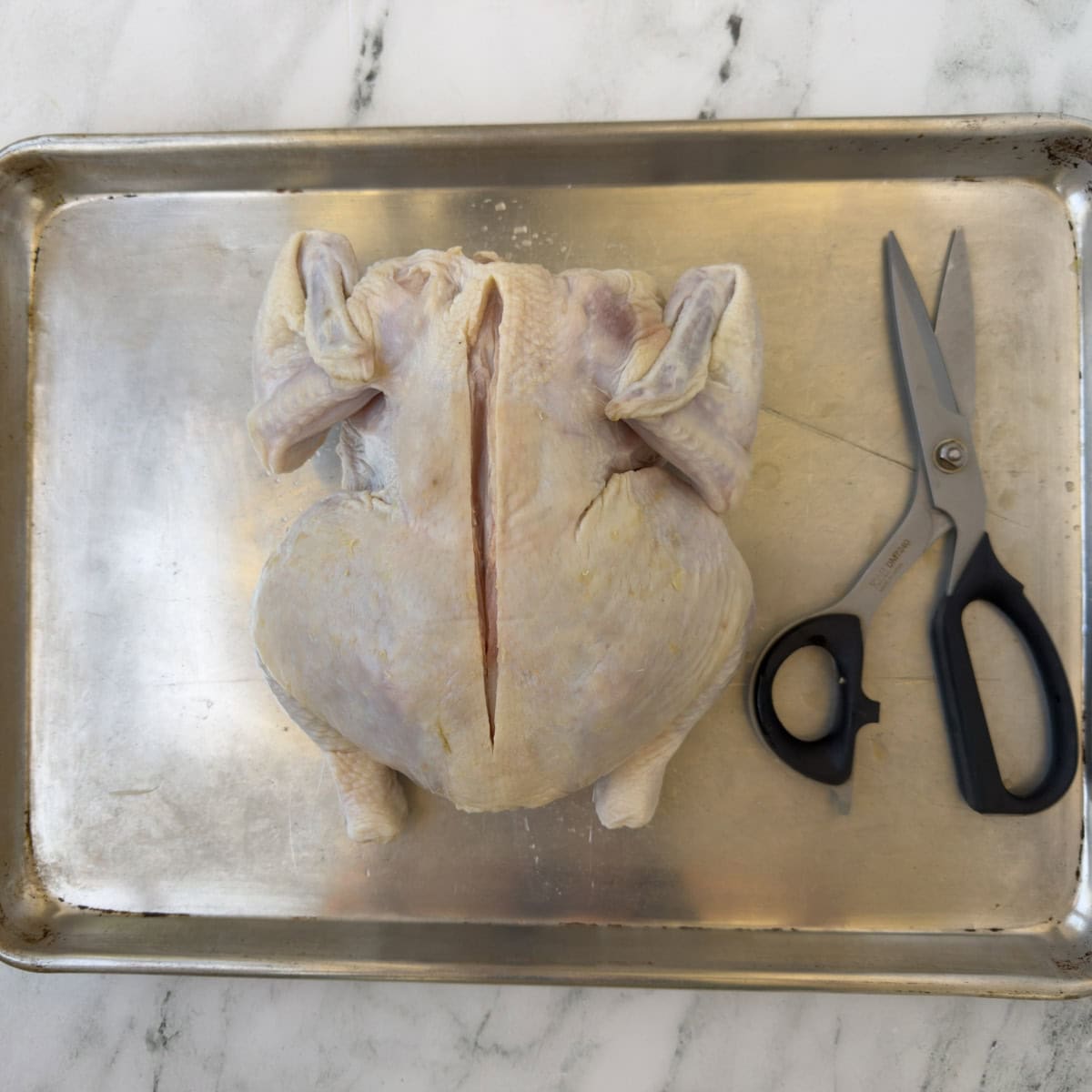 A chicken, back side up, the center backbone scored with a knife. 