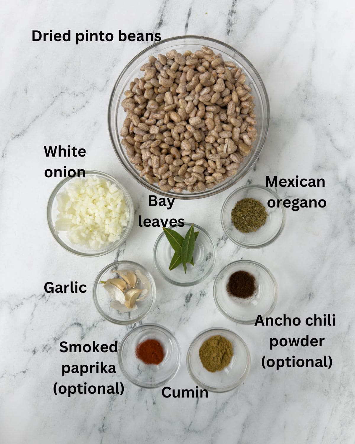 Dried pinto beans, onions, garlic, and spices for crock pot pinto beans.