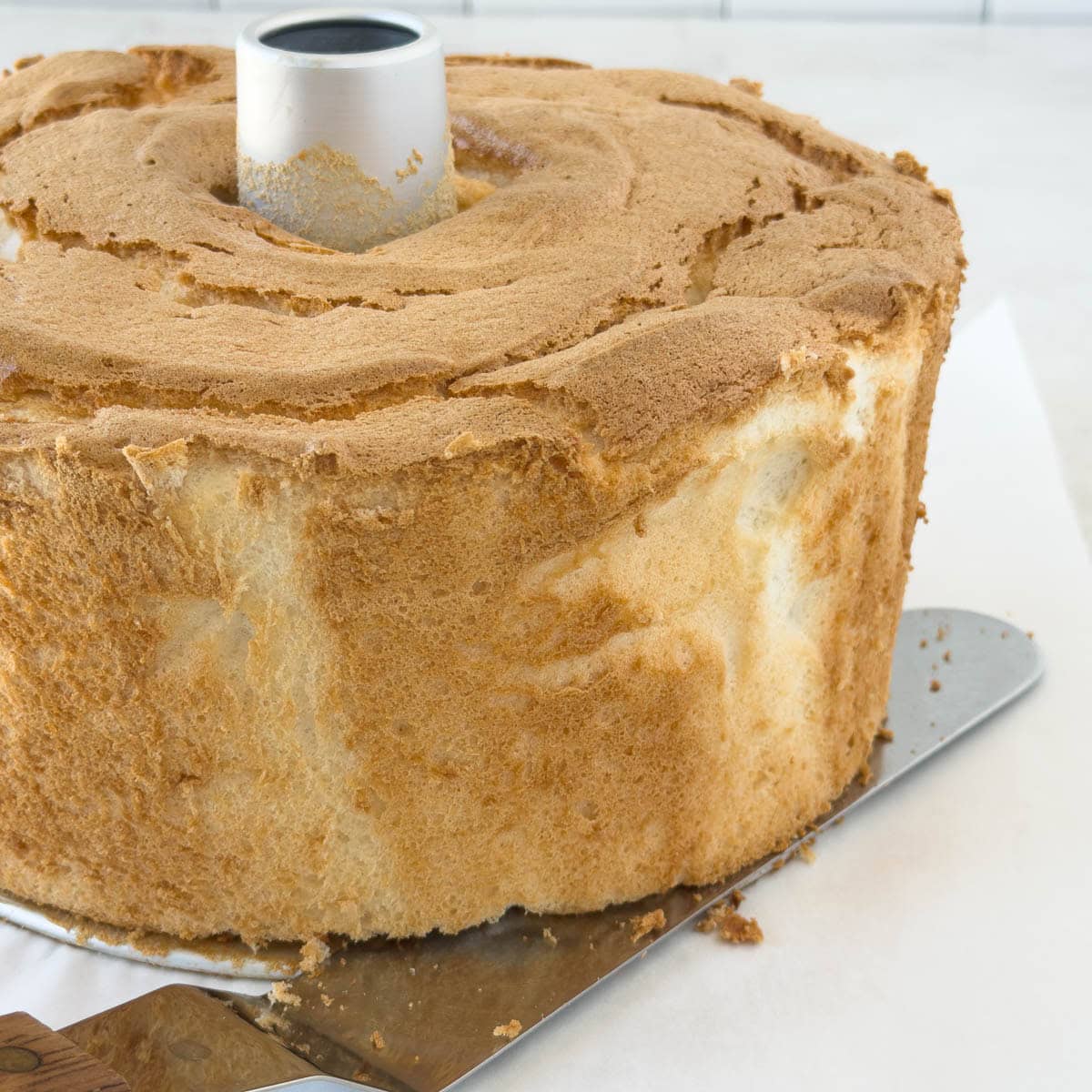 Removing the cake from the bottom of the pan with a large metal spatula.