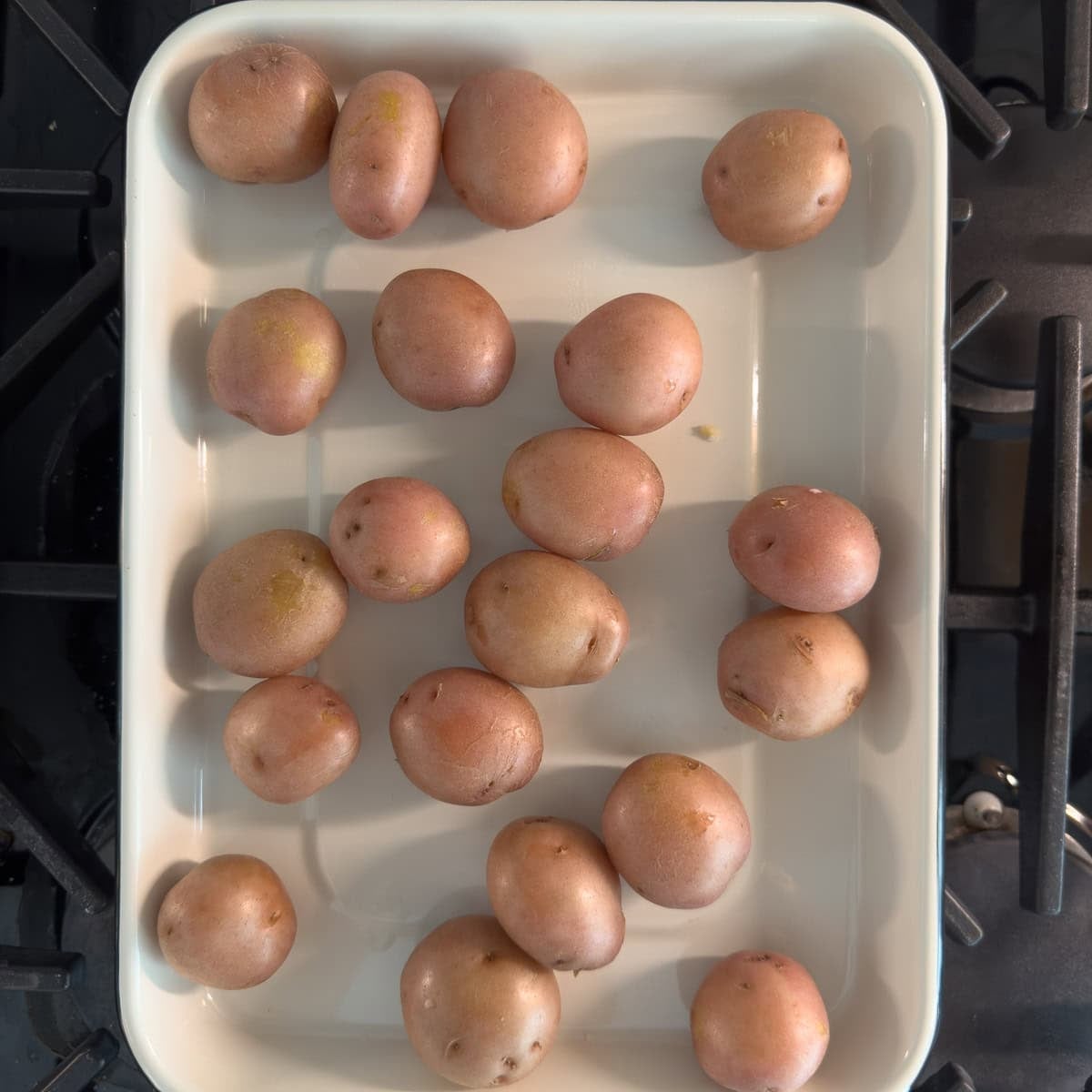 Small red potatoes cooling on a white sheet tray.